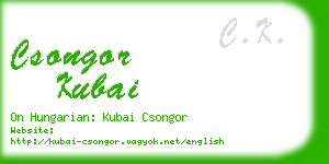 csongor kubai business card